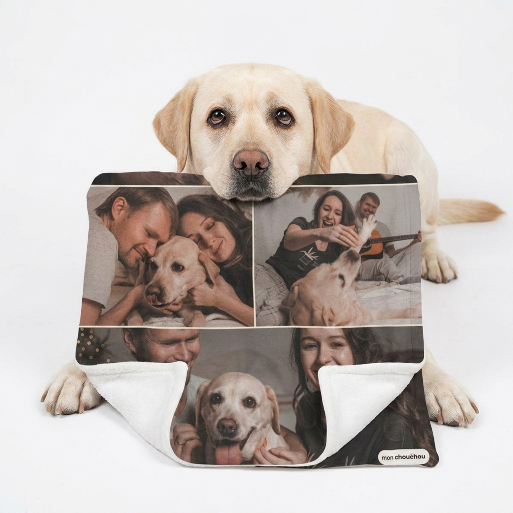 Chien labrador avec sa couverture mosaïque personnalisée Mon Chouchou